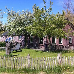 Elferink Hoeve Βίλα Woudenberg Exterior photo