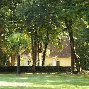 La Chapelle Du Chateau Gite Βίλα Pouillon Exterior photo