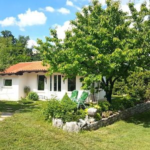 Holiday Home Slavi Vipava Exterior photo