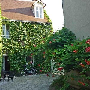 La Vigne Vierge Ξενοδοχείο Châteauneuf-sur-Loire Exterior photo