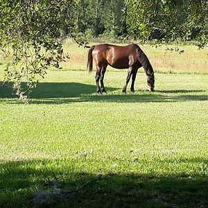 Kokomo Farms Βίλα Live Oak Exterior photo