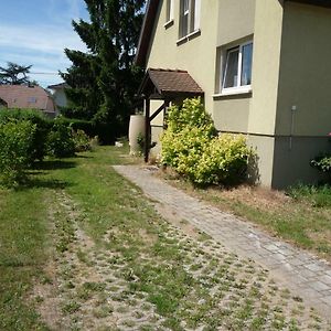 Appartement Sur La Route Des Vins D'Alsace Cernay  Exterior photo