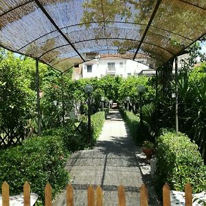 Il Giardino Degli Agrumi Βίλα Καζέρτα Exterior photo