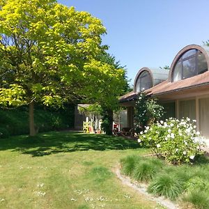 La Petite Bruyere De Renaix Bed and Breakfast Exterior photo