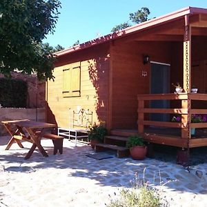 Casa Dimaria Ξενοδοχείο Trancoso Exterior photo