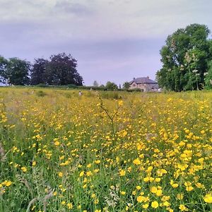 Castletownmoor Clinic & Permaculture Farm Ξενοδοχείο Kells  Exterior photo