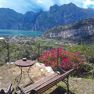 Garden Belvedere B&B Torbole Sul Garda Exterior photo