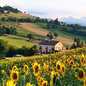 Casale Delle Rondini Bed and Breakfast Tolentino Exterior photo