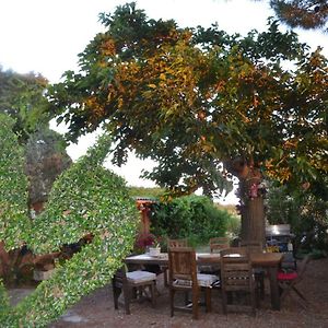 Mazet Du Marechal Ferrant Bed and Breakfast Σαιντ-Μαρί-ντε-λα-Μερ Exterior photo