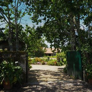 Casa De Pereiro ξενώνας Soajo Exterior photo