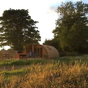 Brynllwyd Glamping Ξενοδοχείο Devils Bridge Exterior photo