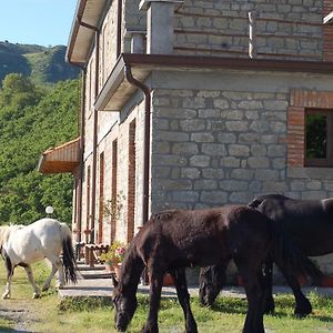 Agriturismo Il Capitano Βίλα Floresta Exterior photo