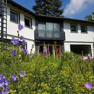 Haus Am Park Stadtallendorf Διαμέρισμα Exterior photo