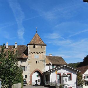 Wandern Und Wohnen Bei Gabriela Διαμέρισμα Waldenburg Exterior photo