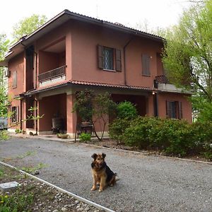 Gambisa Street Ξενοδοχείο Soliera Exterior photo