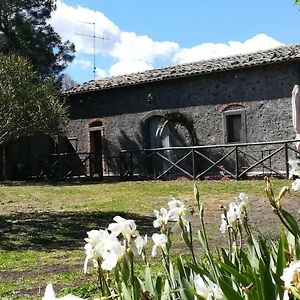 Poggio Roseto Βίλα Randazzo Exterior photo