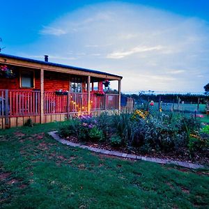 Cherry Tree Glamping Βίλα Stroud  Exterior photo