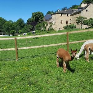 La Ferme Des Andes - Gite L'Atelier Διαμέρισμα Quins Exterior photo