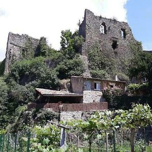 Gite Du Chateau De Retourtour Βίλα Lamastre Exterior photo