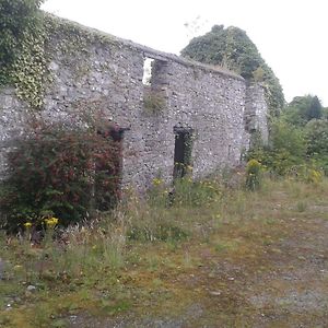 The Townhouse Διαμέρισμα Claremorris Exterior photo