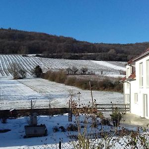 Aux Vignes Bed and Breakfast Wissembourg Exterior photo