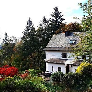 Green Corner Nuerburg Ξενοδοχείο Exterior photo