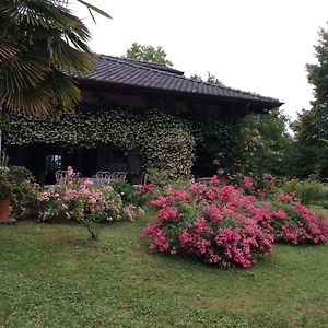 Le Querce Bed and Breakfast Tricesimo Exterior photo