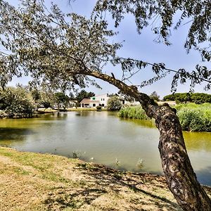 Les Rizieres Ξενοδοχείο Σαιντ-Μαρί-ντε-λα-Μερ Exterior photo