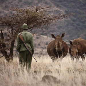 Elewana Lewa Safari Camp Ξενοδοχείο Meru Exterior photo