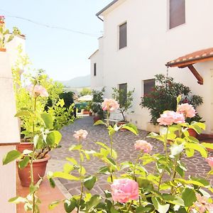 Hotel Boni Cerri Σπολέτο Exterior photo