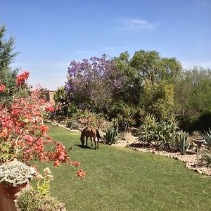 Hacienda Las Trancas Ξενοδοχείο Dolores Hidalgo Exterior photo