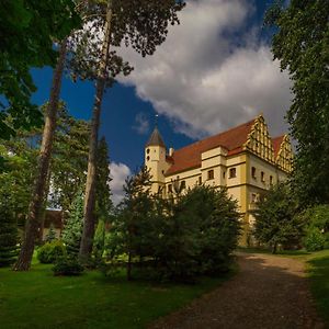 Zamek W Czernej Bed and Breakfast Czerna Exterior photo