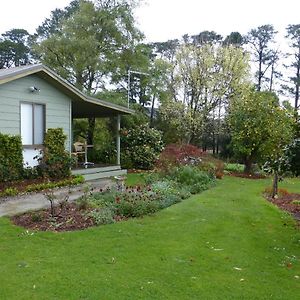 The Little House On The Hill Ξενοδοχείο Healesville Exterior photo