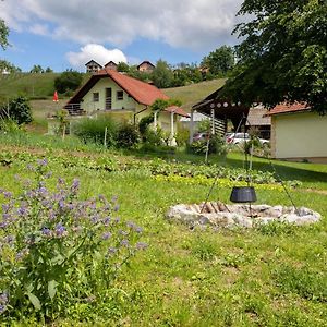 Domacija Vesel Βίλα Trebnje Exterior photo