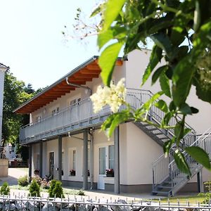 Pension Am Ziegelwall Ξενοδοχείο Bautzen Exterior photo