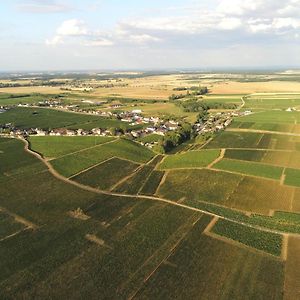 La Pause Nuitonne Ξενοδοχείο Nuits-Saint-Georges Exterior photo