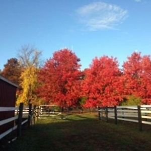 Flint Hill Farm Ag Βίλα Center Valley Exterior photo