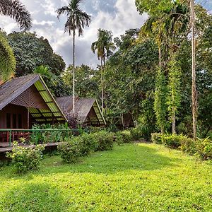 Khao Sok Riverside Cottages Khao Sok National Park Exterior photo