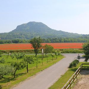 Gyulavezer Lovasbirodalma Bed and Breakfast Gyulakeszi Exterior photo