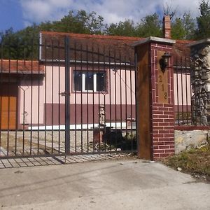 Casa Dragoi Din Socolari, Caras - Severin Ξενοδοχείο Exterior photo