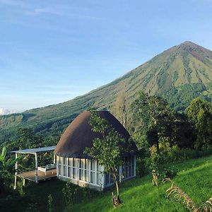 Manulalu Jungle Ξενοδοχείο Bajawa Exterior photo