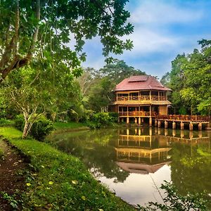 Kingfisher Ecolodge Ban Kian-Ngong Exterior photo