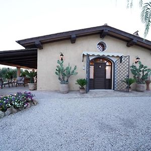 Casa Degli Ulivi Bed and Breakfast Cerveteri Exterior photo