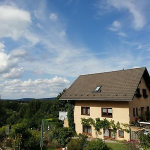 Ferienwohnung Am Apelsberg Neuhaus am Rennweg Exterior photo