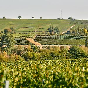 Weingasthaus Wisser Ξενοδοχείο Billigheim-Ingenheim Exterior photo