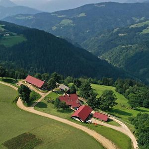 Farmstay&Glamping Visocnik Ljubno Exterior photo