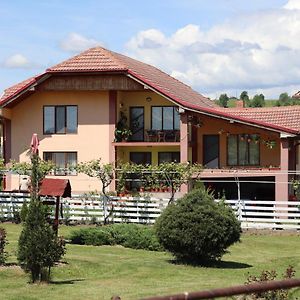 Casa De Vacanta Madalina Ξενοδοχείο Novaci-Străini Exterior photo