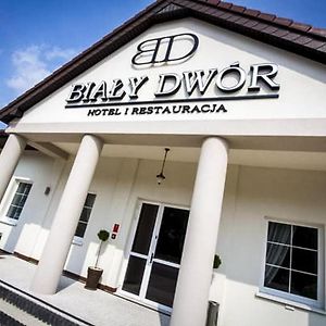 Bialy Dwor Bed and Breakfast Rychwal Exterior photo