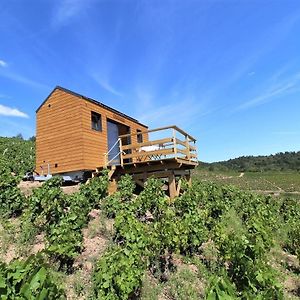 Tiny House Au Coeur Du Vignoble Beaujolais Ξενοδοχείο Fleurie Exterior photo