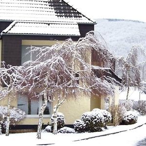 Gemuender Ferienwohnpark Salzberg Ξενοδοχείο Exterior photo